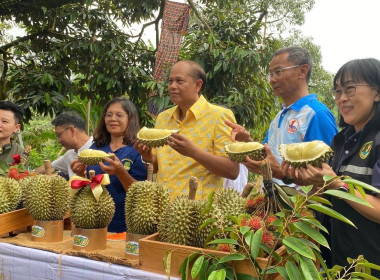 ร่วมกิจกรรมเปิดฤดูกาล &quot;ทุเรียนตะนาวศรีคีรีขันธ์@ คลองลอย พารามิเตอร์รูปภาพ 1