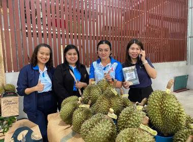 ร่วมกิจกรรมเปิดฤดูกาล &quot;ทุเรียนตะนาวศรีคีรีขันธ์@ คลองลอย พารามิเตอร์รูปภาพ 6