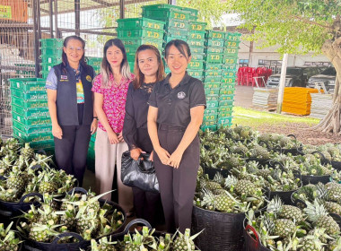 เข้าแนะนำการดำเนินการตามแนวทางโครงการสนับสนุนกระจายผลไม้ ... พารามิเตอร์รูปภาพ 1