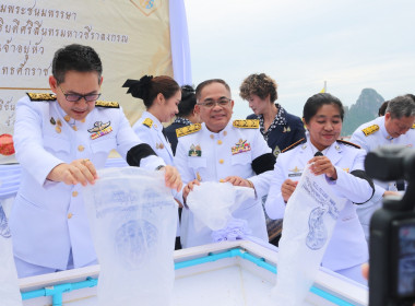 สำนักงานสหกรณ์จังหวัดประจวบคีรีขันธ์ ... พารามิเตอร์รูปภาพ 8