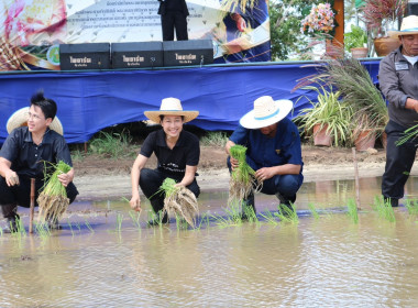 สหกรณ์จังหวัดประจวบคีรีขันธ์ เข้าร่วมกิจกรรมน้อมรำลึกใน ... พารามิเตอร์รูปภาพ 3