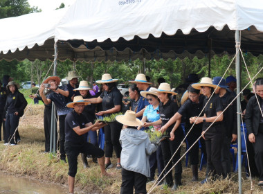 สหกรณ์จังหวัดประจวบคีรีขันธ์ เข้าร่วมกิจกรรมน้อมรำลึกใน ... พารามิเตอร์รูปภาพ 4